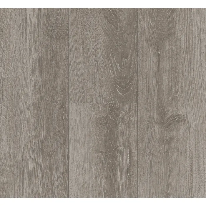 Panel laminowany Parador BASIC 400 (4V) dąb świetlisty szary 1426530