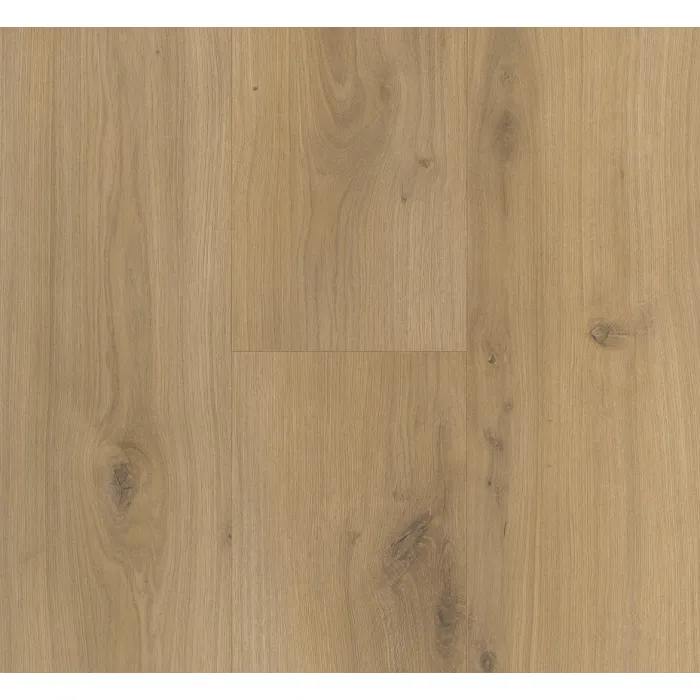Panel laminowany Parador BASIC 400 (4V) dąb horizont naturalny 1593797