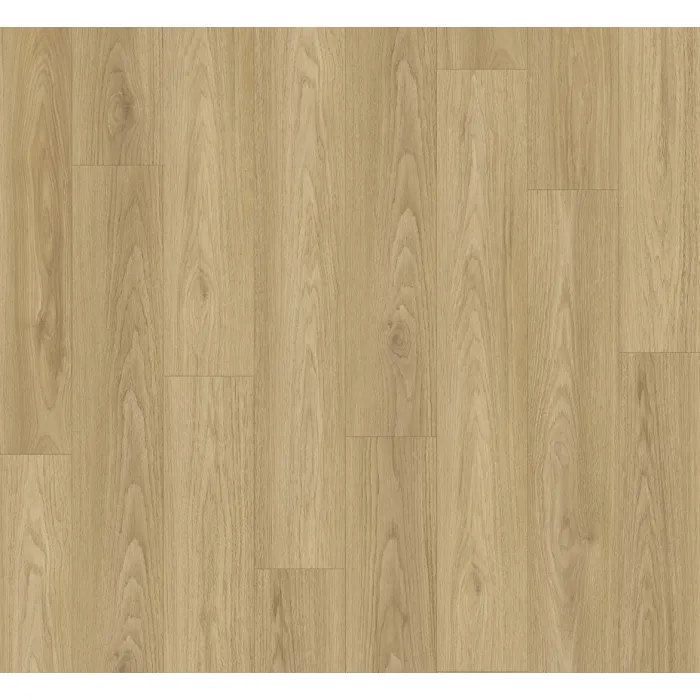 Panel laminowany Parador BASIC 400 (4V) hickory 1748182