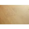 Panel winylowy Quick Step Alpha Blos Base dąb coast miodowy AVSPT40320