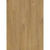 Panel winylowy Quick Step ze zintegrowanym podkładem Alpha Bloom dąb bawełniany głęboka natura AVMPU40203