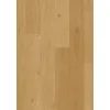 Panel winylowy Quick Step ze zintegrowanym podkładem Alpha Blos dąb coast miodowy AVSPU40320