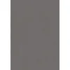 Panel winylowy Quick Step klejony Ambient Glue Plus wyrazisty średnio szary AMGP40138