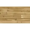 Barlinek Dąb Modern PURE LINE