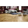 Barlinek Dąb Bright CLASSICO LINE