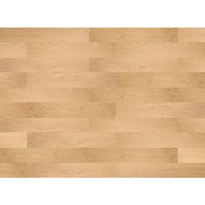 Finishparkiet Parkiet Dąb Madagaskar